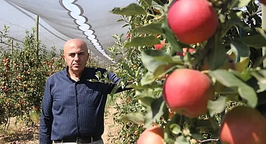 Bayram: Meyve Dikimine Yasak Getirilmesi Üreticiyi Mağdur Eder
