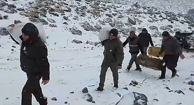 DKMP yaban hayvanlarını unutmadı