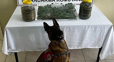 Erek'ten Kaçamadı!