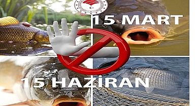 Karaman'da ‘Sazangiller’in Avlanması Yasaklandı