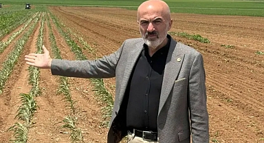 Çölde yeşermeye çalışan şehir: Karaman