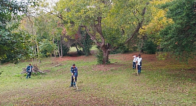 Darıca Millet Bahçesi’nde Temizlik Seferberliği: Kocaeli Büyükşehir’den Aralıksız Bakım Çalışmaları