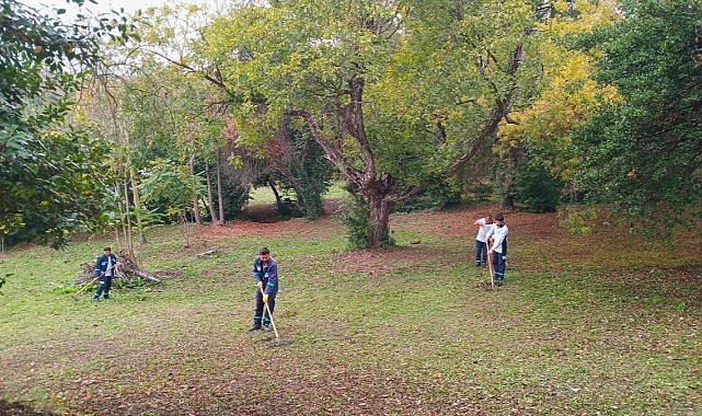 Darıca Millet Bahçesi’nde Temizlik Seferberliği: Kocaeli Büyükşehir’den Aralıksız Bakım Çalışmaları