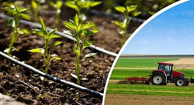 Destekler Kesilebilir! Mehmet Bayram’dan Çiftçilere Kritik Uyarı: Başvurular Zamanında Yapılmalı