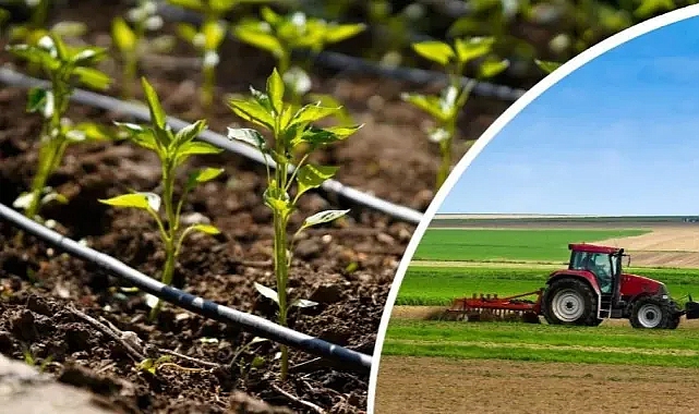 Destekler Kesilebilir! Mehmet Bayram’dan Çiftçilere Kritik Uyarı: Başvurular Zamanında Yapılmalı