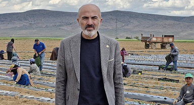 Karaman Tarımında Alarm Zilleri: Kuraklık, Don ve Maliyet Artışı Üretimi Vurdu