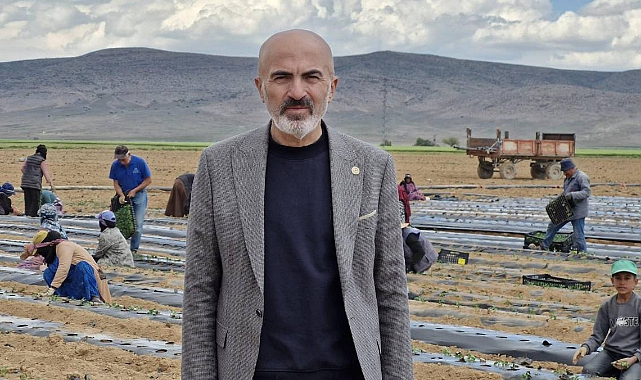 Karaman Tarımında Alarm Zilleri: Kuraklık, Don ve Maliyet Artışı Üretimi Vurdu