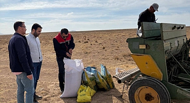 Yeşildere’de İşgal Edilen Mera Alanları Yeniden Hayat Buluyor