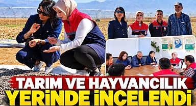 Karaman’da Tarım ve Hayvancılık İşletmeleri Yerinde İncelendi