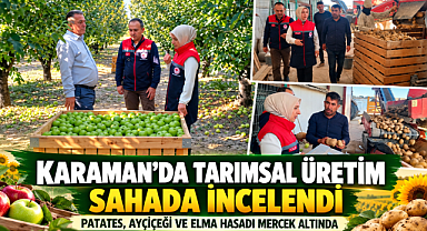 Karaman'da Tarımsal Üretim Sahada İncelendi: Patates, Ayçiçeği ve Elma Hasadı Mercek Altında